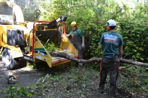 tree services Indiantown